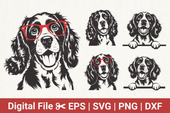 Cute Spaniel Dog Clipart Bundle