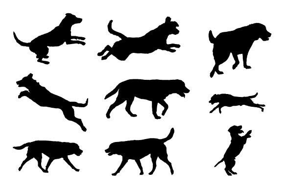 Dog SVG Graphics Design Review