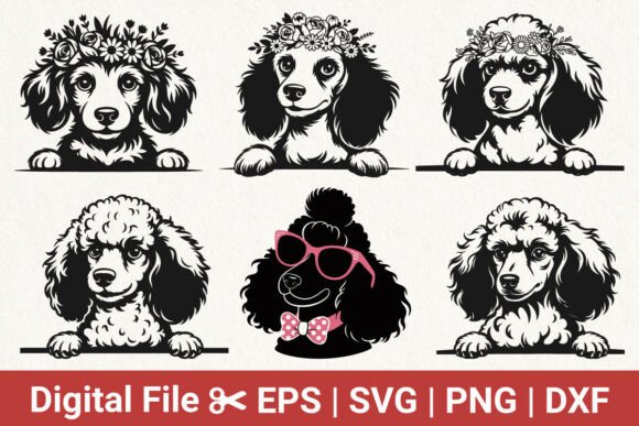 Floral Poodle and Puppy Dog Svg Bundle: A Designer's Honest Review